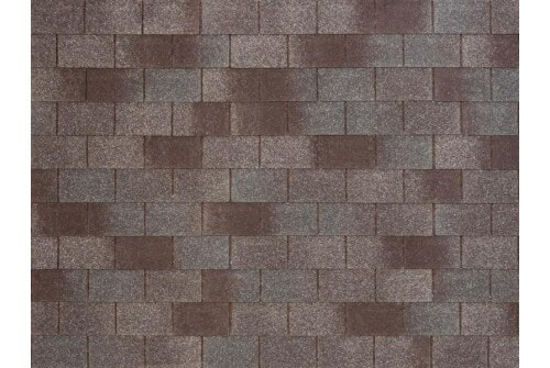 233262-500x335-1